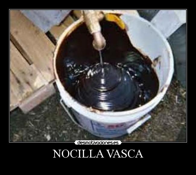 NOCILLA VASCA -