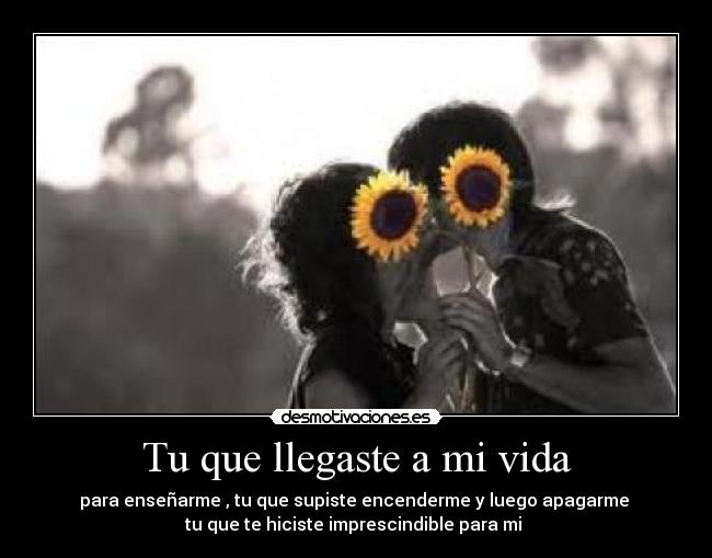 Tu que llegaste a mi vida -