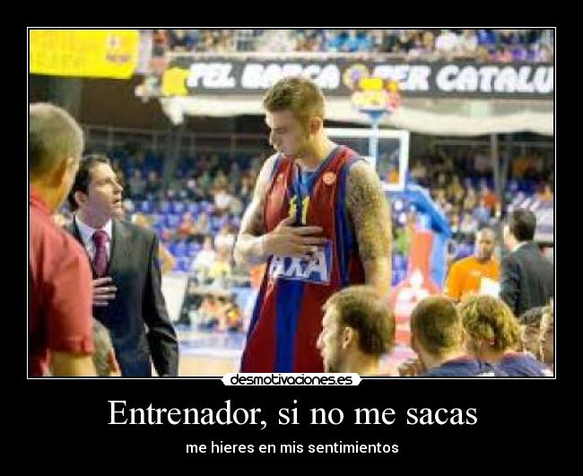 Entrenador, si no me sacas - me hieres en mis sentimientos