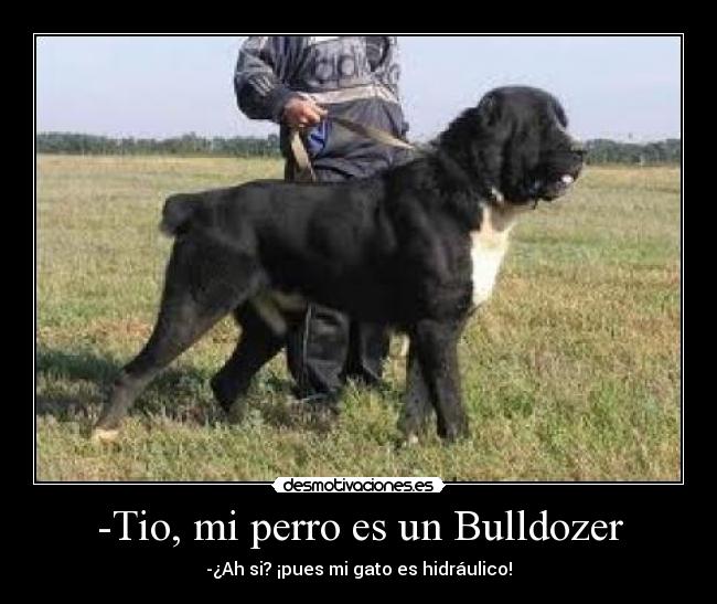 carteles bulldozer desmotivaciones