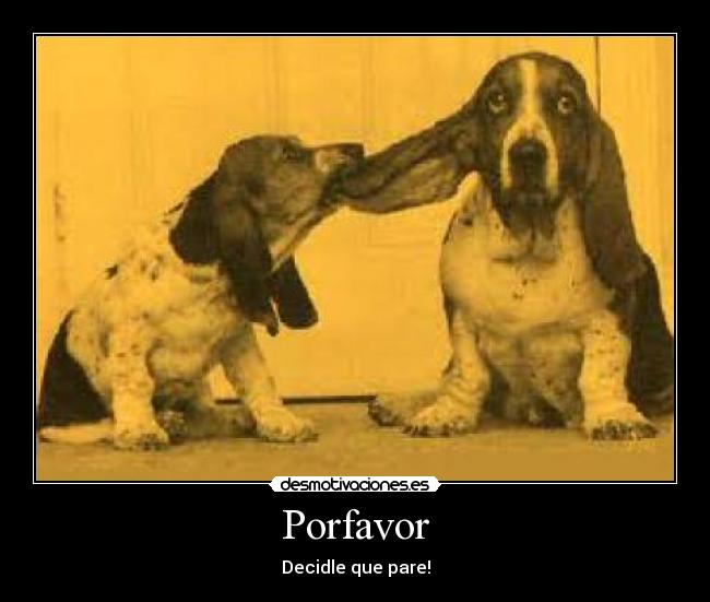 carteles perro pesado oreja desmotivaciones