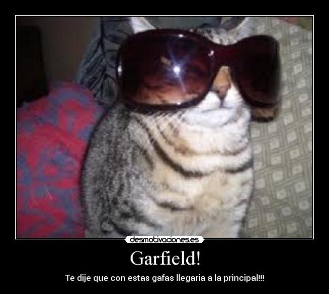 Garfield! -