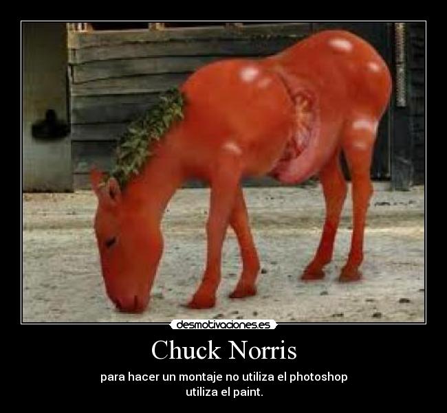 Chuck Norris - para hacer un montaje no utiliza el photoshop
utiliza el paint.