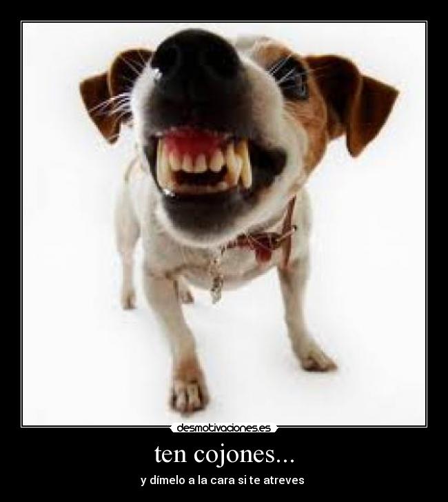 ten cojones... - 