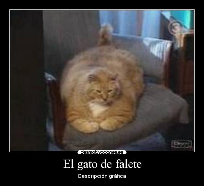 El gato de falete - Descripción gráfica