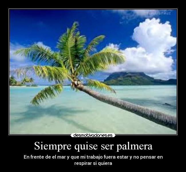 Siempre quise ser palmera - 
