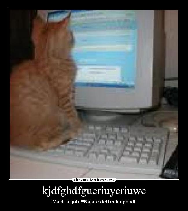 kjdfghdfgueriuyeriuwe - 