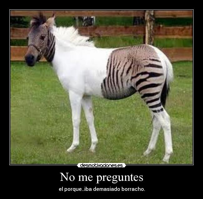 carteles preguntes desmotivaciones