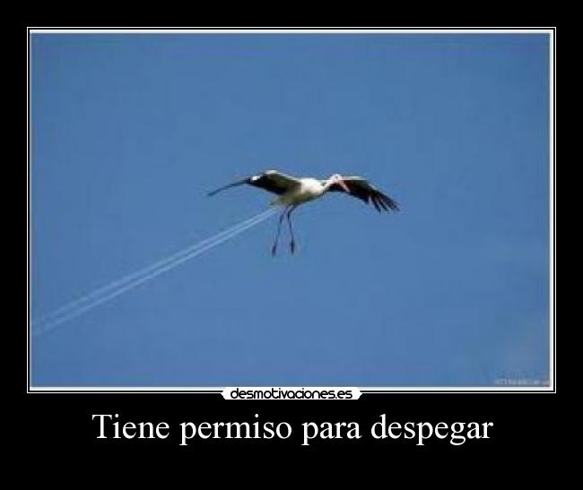 Tiene permiso para despegar -