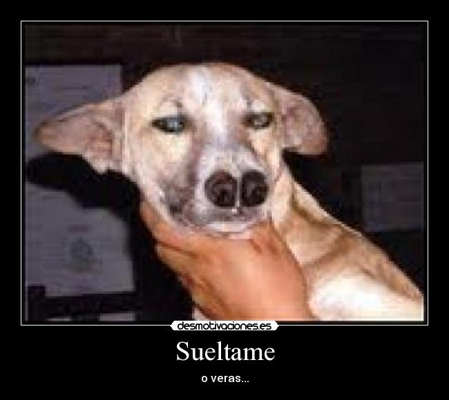 Sueltame - o veras...