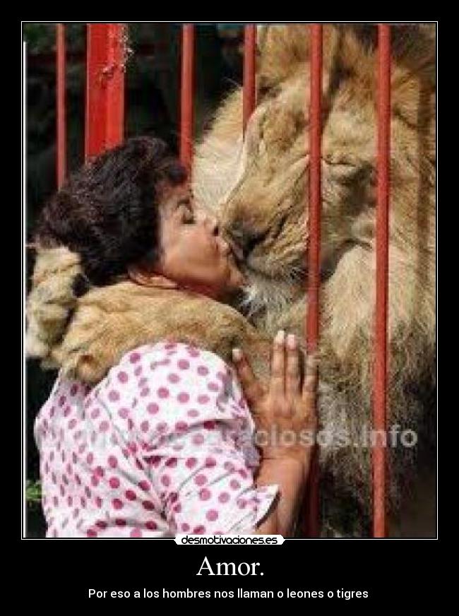 Amor. - 