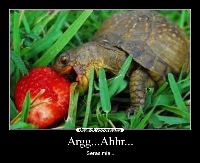 Argg...Ahhr... -
