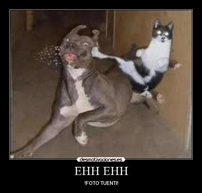 carteles lol desmotivaciones