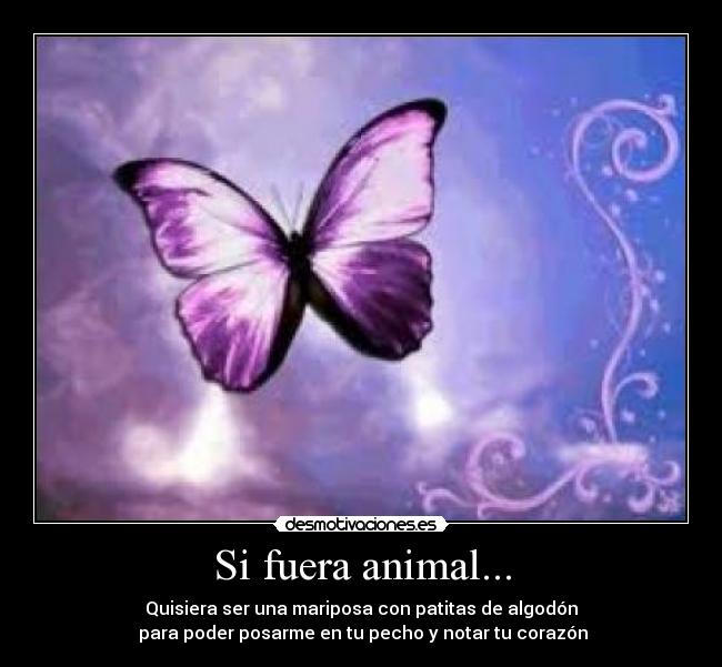 Si fuera animal... - 
