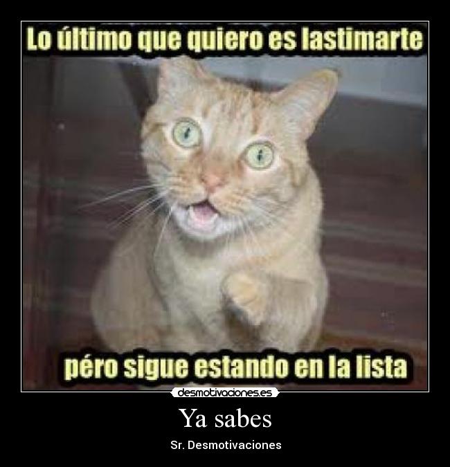 Ya sabes - Sr. Desmotivaciones