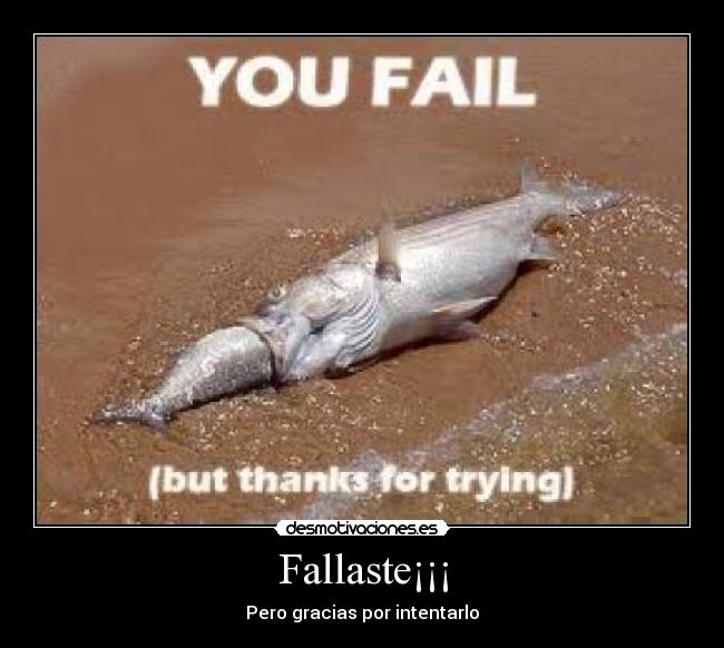 carteles fail desmotivaciones