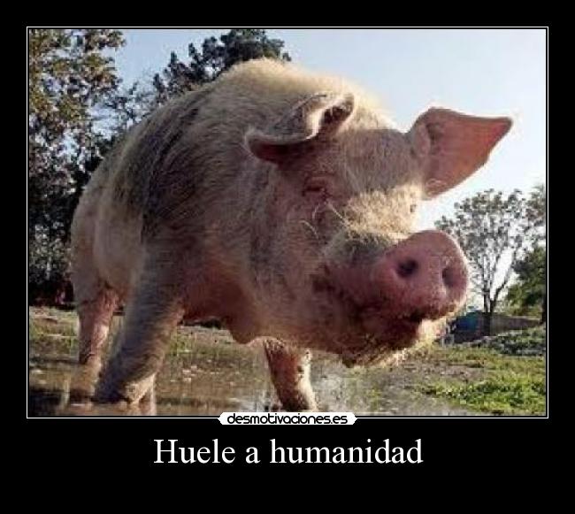 Huele a humanidad -
