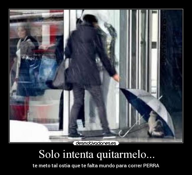 Solo intenta quitarmelo... - te meto tal ostia que te falta mundo para correr PERRA