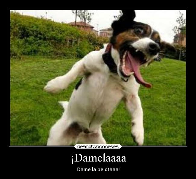 ¡Damelaaaa -
