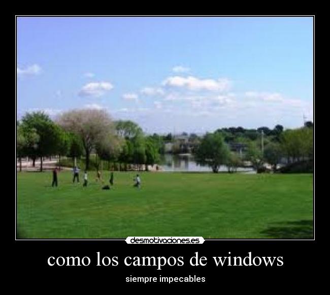 carteles windowa desmotivaciones