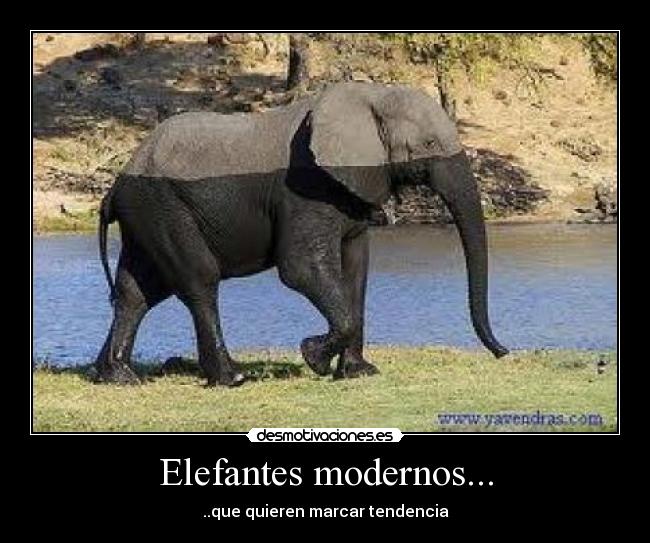 Elefantes modernos... - ..que quieren marcar tendencia