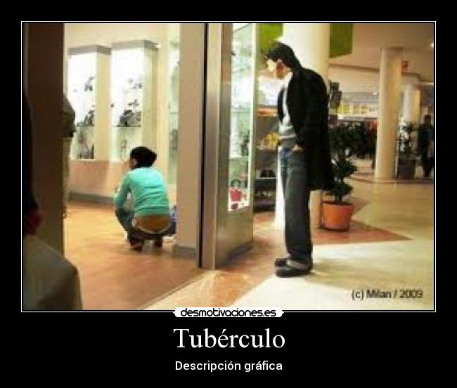 Tubérculo - 