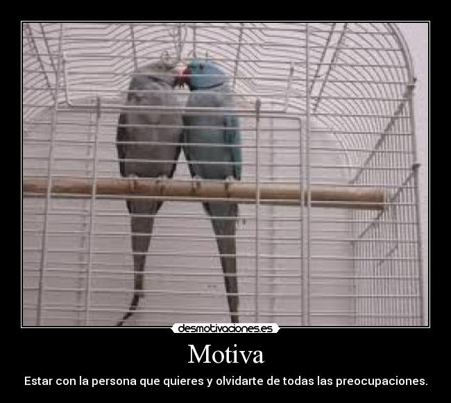 Motiva -
