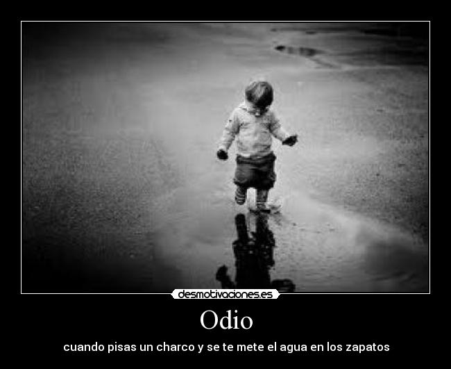 Odio - 