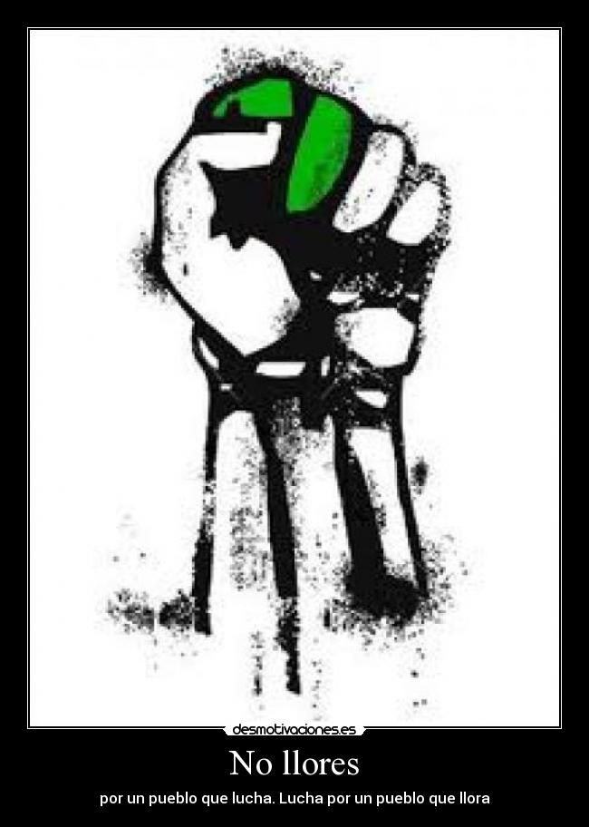 No llores - 