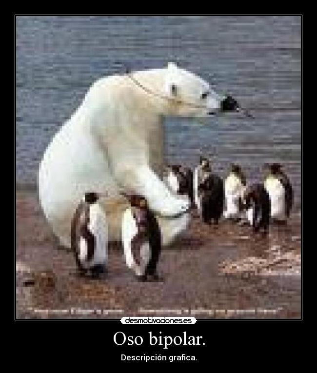 oso bipolar