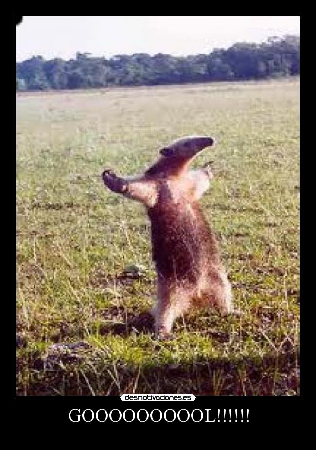 carteles goooool desmotivaciones