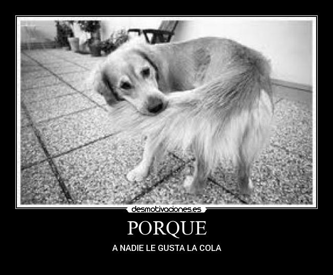 PORQUE -