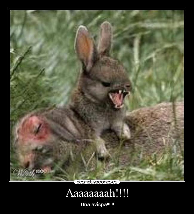 Aaaaaaaah!!!! - 