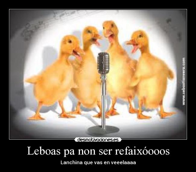 carteles patos desmotivaciones