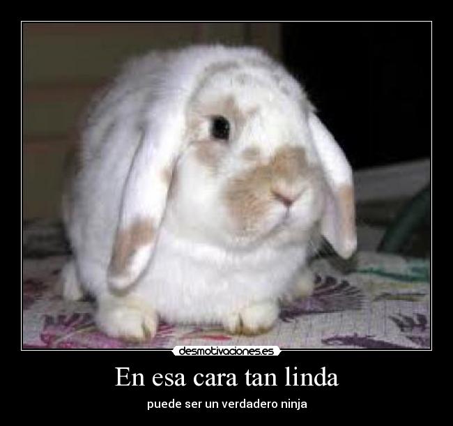 En esa cara tan linda - 