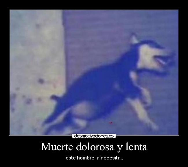 Muerte dolorosa y lenta -