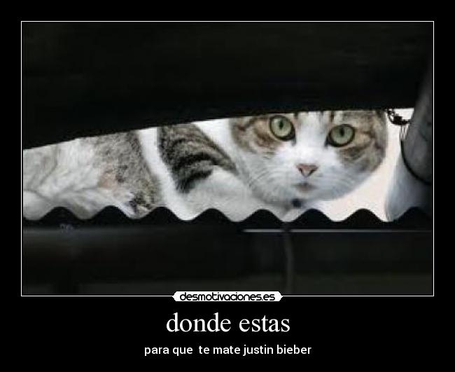 carteles donde estas desmotivaciones