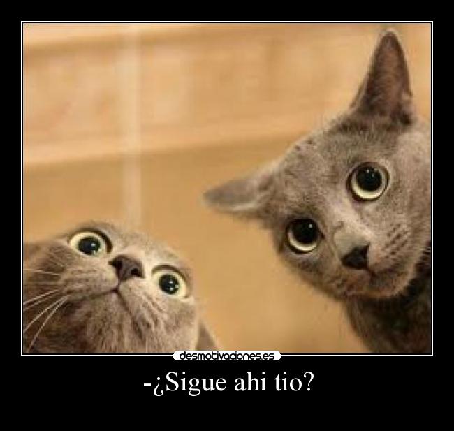 -¿Sigue ahi tio? -