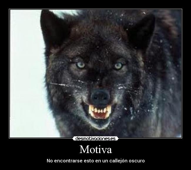 Motiva -