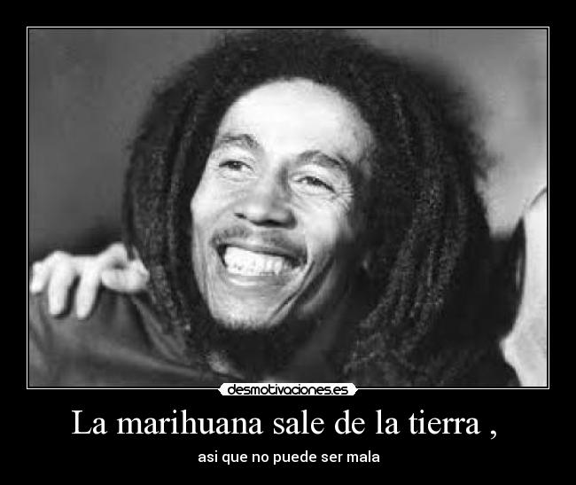 La marihuana sale de la tierra ,  - asi que no puede ser mala