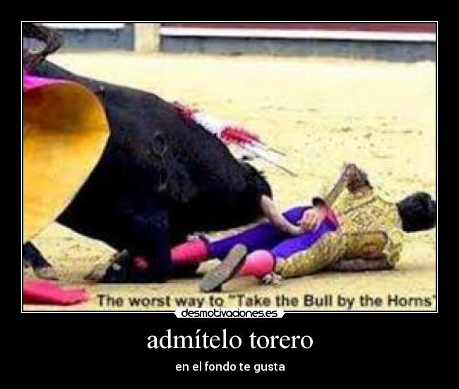 admítelo torero - en el fondo te gusta