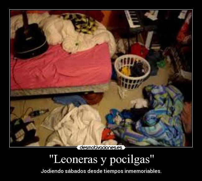 Leoneras y pocilgas - 