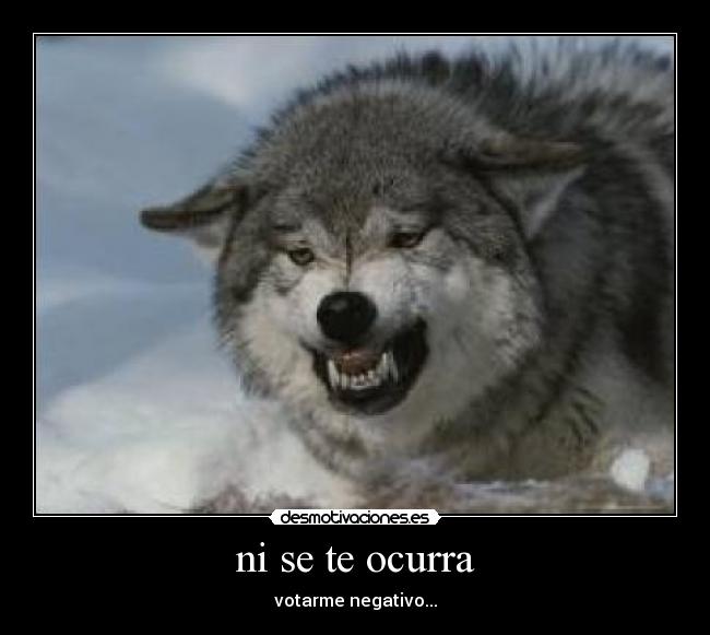ni se te ocurra -