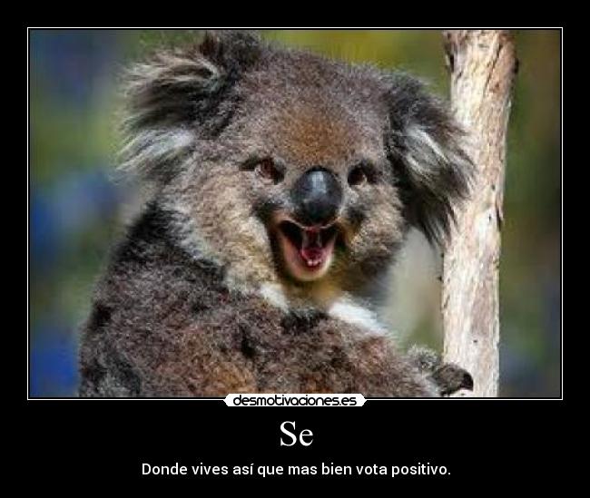 Se - Donde vives así que mas bien vota positivo.