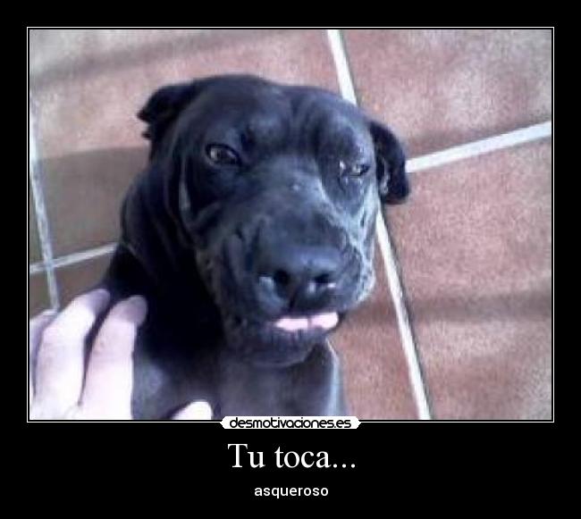 Tu toca... -