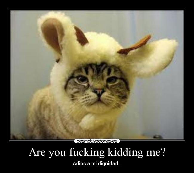 Are you fucking kidding me? -