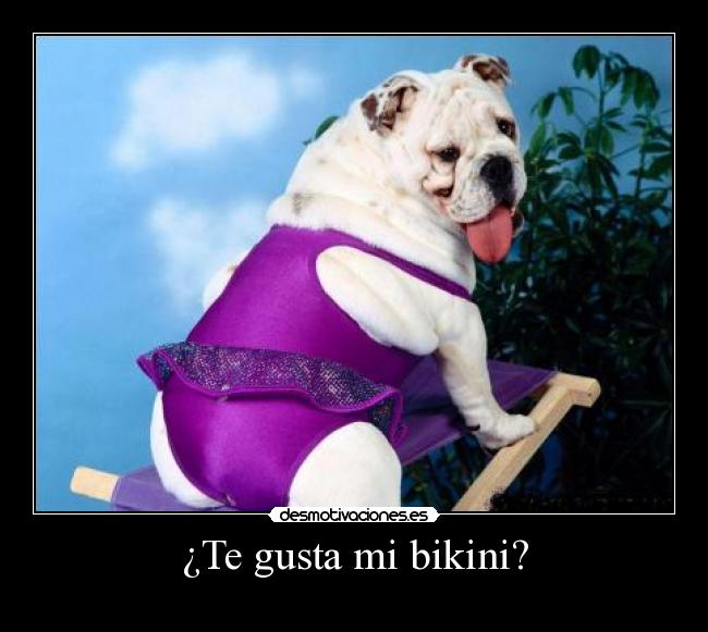 ¿Te gusta mi bikini? - 