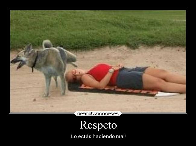 Respeto - 