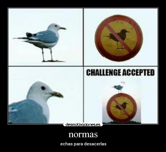 normas - echas para desacerlas