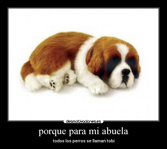 porque para mi abuela - todos los perros se llaman tobi